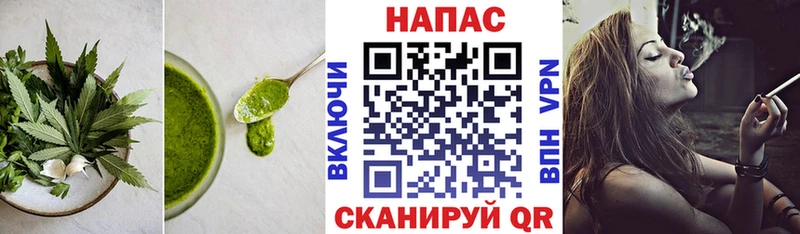 купить наркоту  Будённовск  Cannafood конопля 