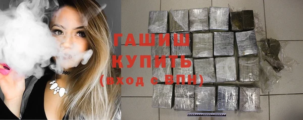 стаф Арсеньев