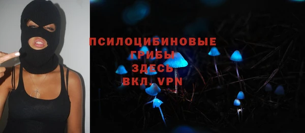 jwh Саяногорск