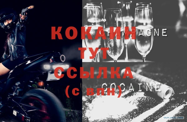 шишки Сафоново